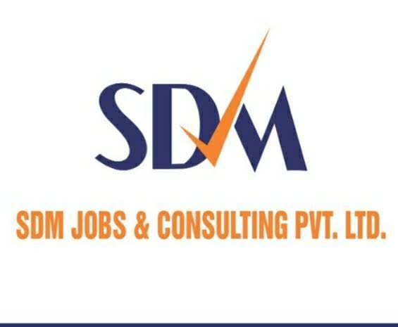 SDM Jobs and Consulting Private Limited